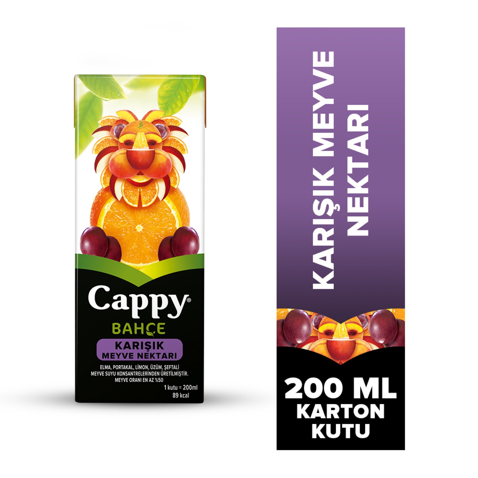 Cappy Bahçe Karışık Meyve Nektarı 